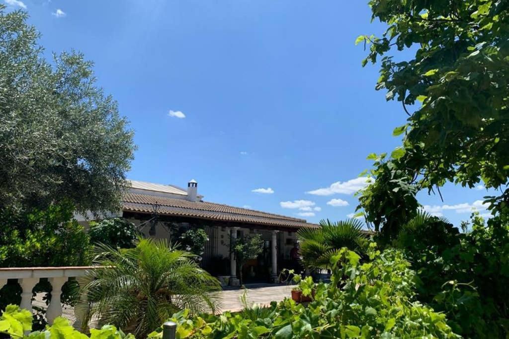 Casa Rural Finca las Tejoneras Bornos Exterior foto