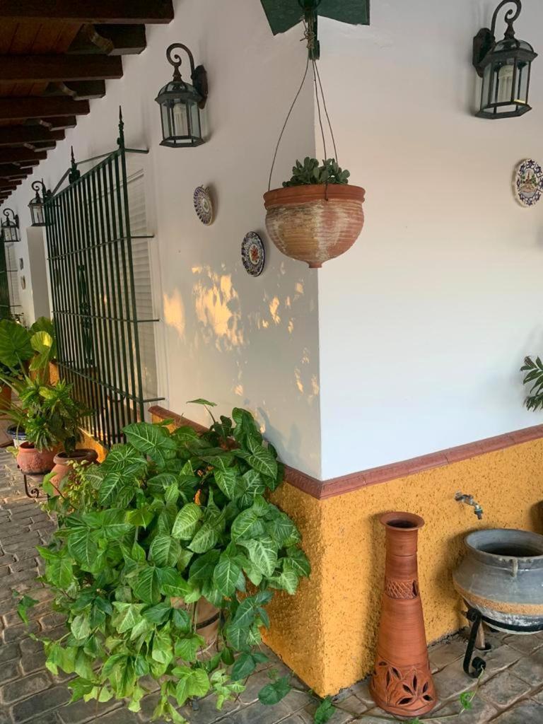 Casa Rural Finca las Tejoneras Bornos Exterior foto